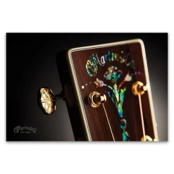 Abalone Headstock Poster