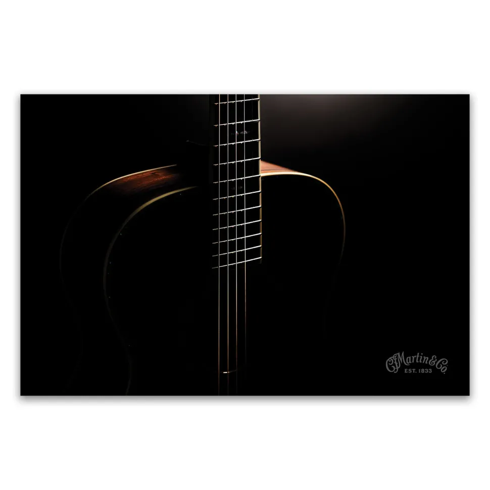 Custom Shop Silhouette Poster