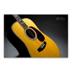 D-45 Poster