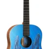 DSS Biosphere® II
