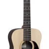 LX1R Little Martin